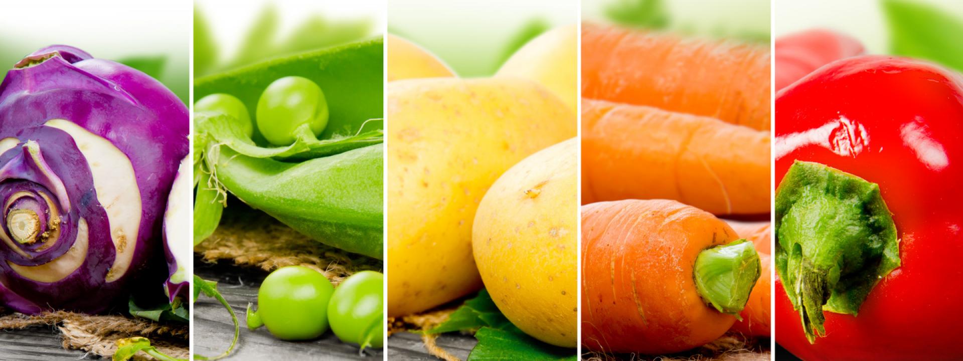 Musterbriefe Verbraucherzentrale : Ernährung in schule und kita verbraucherzentrale Musterbriefe Verbraucherzentrale : Ernährung in schule und kita verbraucherzentrale